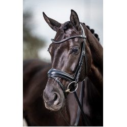 Bridon de dressage Classic LeMieux Noir Bridon de dressage Classic LeMieux Noir