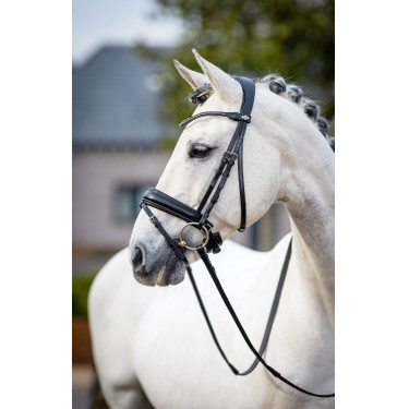 Bridon de dressage Classic LeMieux Noir Bridon de dressage Classic LeMieux Noir