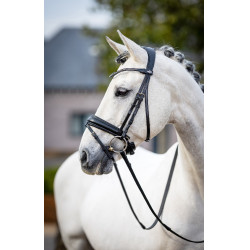 Klassiek dressuurtuig LeMieux Zwart Klassiek dressuurtuig LeMieux Zwart