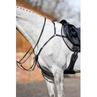 Jachtborsttuig LeMieux Zwart