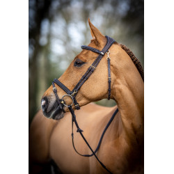 Bridon de travail LeMieux Marron