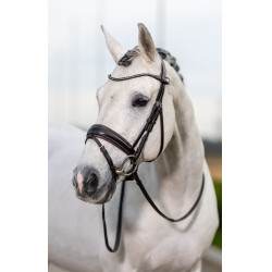 Bridon de dressage Classic LeMieux Marron Bridon de dressage Classic LeMieux Marron