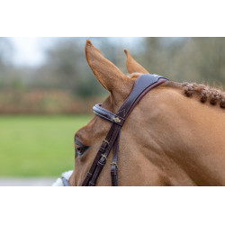 Bridon LeMieux Grackle Havana Bruin