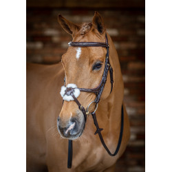 Bridon LeMieux Grackle Havana Bruin