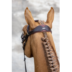 Bridon combiné LeMieux Competition Havane Marron