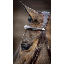 LeMieux Competition gecombineerde hoofdstel Havana Bruin