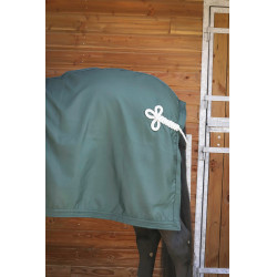 Chemise Paddock Sports Présentation Vert Chemise Paddock Sports Présentation Vert