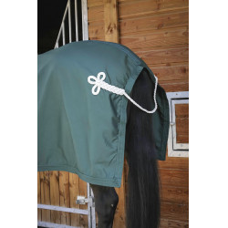 Chemise Paddock Sports Présentation Vert Chemise Paddock Sports Présentation Vert
