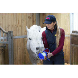 Pierre à lécher Likit Pierre à lécher Likit