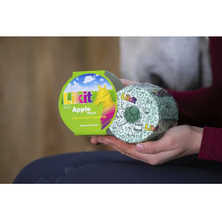 Pierre à lécher Likit Pierre à lécher Likit