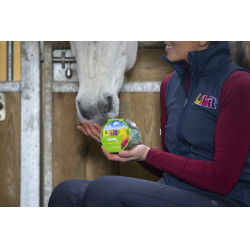 Pierre à lécher Likit Pierre à lécher Likit