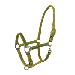Licol Lami-Cell LC Pistache Vert