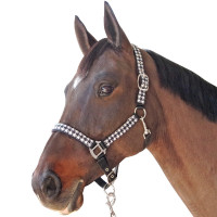 Set halster + lijn Pied de poule Canter Zwart