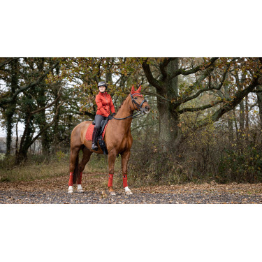 LeMieux Loire Classic Dressuur Vierkant