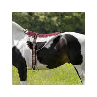 Barebackpad Norton Barebackpad Norton