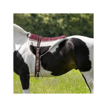 Barebackpad Norton Barebackpad Norton