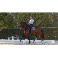 Tapis de dressage LeMieux Le Cool Grip Gris