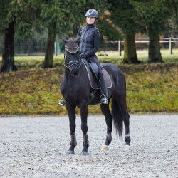 Vliegennetje Adepto Horze Donkerbruin