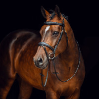Filet Sion met teugels Horze Zwart