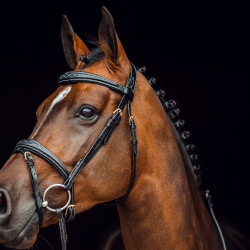Filet Sion avec rênes Horze Noir Filet Sion avec rênes Horze Noir