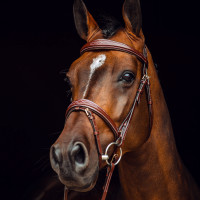 Filet Sion met teugels Horze Zwart Filet Sion met teugels Horze Zwart