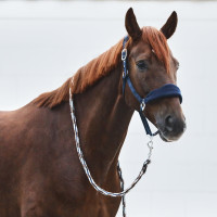 Halster Kiel met fleecevoering Horze Donker marineblauw