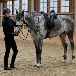 Guêtres Adepto Horze Vert kaki beetle Guêtres Adepto Horze Vert kaki beetle