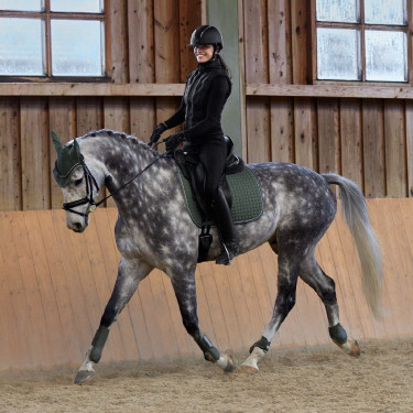 Adepto-beschermers Horze Kaki groene kever Adepto-beschermers Horze Kaki groene kever
