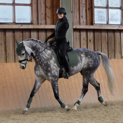 Guêtres Adepto Horze Vert kaki beetle Guêtres Adepto Horze Vert kaki beetle