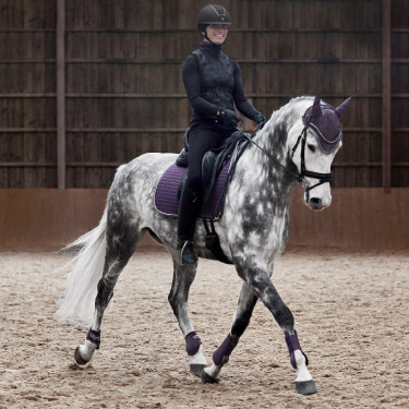 Adepto-beschermers Horze Cassiskleurig Violet