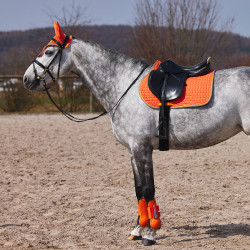 Guêtres Adepto Horze Or corail