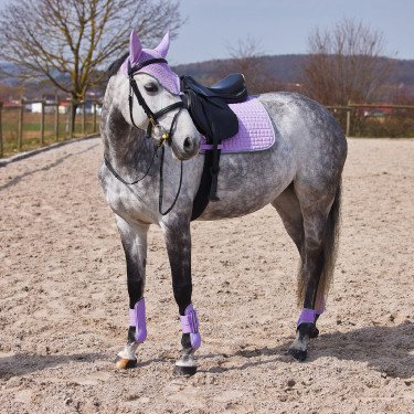 Adepto-beschermers Horze Lavendelpaars Violet