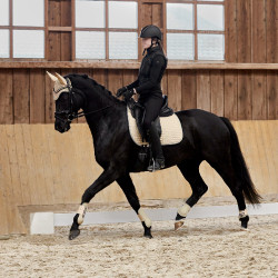 Guêtres Adepto Horze SBR Blanc