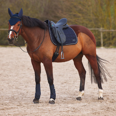 Neopreen gesloten peesbeschermers Horze Donker marineblauw
