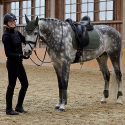 Kogelbeschermers Adepto Horze Kaki groene kever