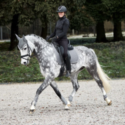 Kogelbeschermers Adepto Horze Staalgrijs Kogelbeschermers Adepto Horze Staalgrijs