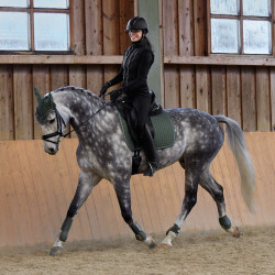 Tapis de selle mixte Adepto Horze Vert kaki beetle Tapis de selle mixte Adepto Horze Vert kaki beetle