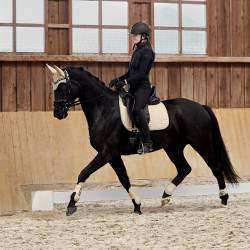 Tapis de selle mixte Adepto Horze Beige