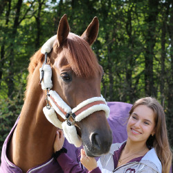 Licol Pénélope Soft Noir / beige