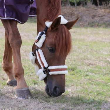 Halster Pénélope Soft Zwart / beige