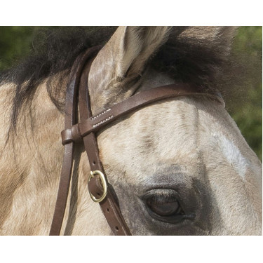 Bridon Westride door Franck Perret Colorado Chocolade Bruin Bridon Westride door Franck Perret Colorado Chocolade Bruin