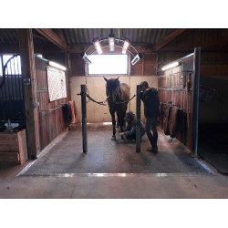 DELTA DIAM - SOL ALLEE ECURIE DELTA DIAM - SOL ALLEE ECURIE