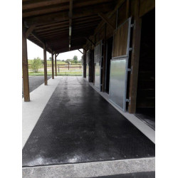 DELTA DIAM - SOL ALLEE ECURIE DELTA DIAM - SOL ALLEE ECURIE