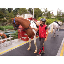 DELTA DIAM - SOL ALLEE ECURIE DELTA DIAM - SOL ALLEE ECURIE