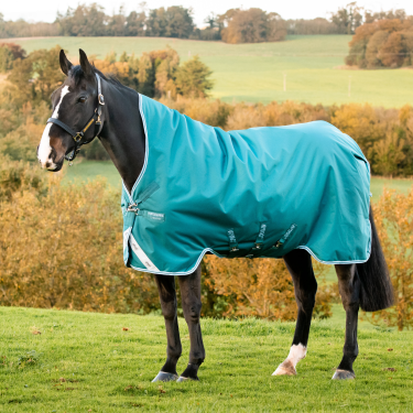 Couverture Horseware High Neck Amigo® Bravo 12 Original 250g 1200D Couverture Horseware High Neck Amigo® Bravo 12 Original 250g 1200D