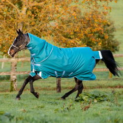 Horseware Amigo® Bravo 12 Plus 400g 1200D deken Groen / turkoois