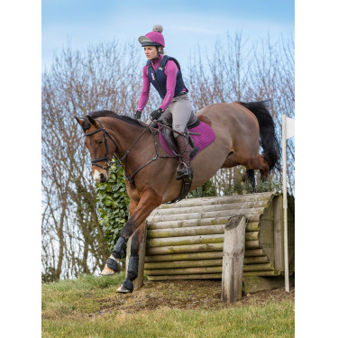 Technisch ondergoed My LeMieux Pruim Violet