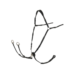 Collier de chasse avec martingale LeMieux