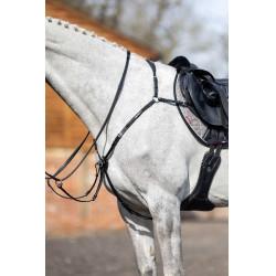 Collier de chasse avec martingale LeMieux Noir Collier de chasse avec martingale LeMieux Noir