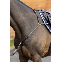 Collier de chasse avec martingale LeMieux Havane Marron Collier de chasse avec martingale LeMieux Havane Marron